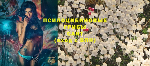 амф Няндома