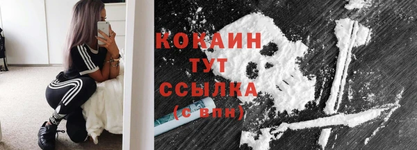 соль курить ск Новозыбков