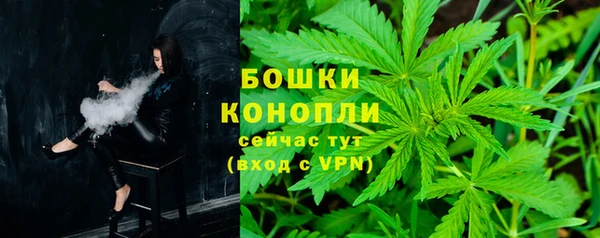 ПСИЛОЦИБИНОВЫЕ ГРИБЫ Инсар