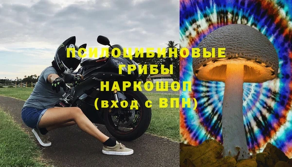 соль курить ск Новозыбков