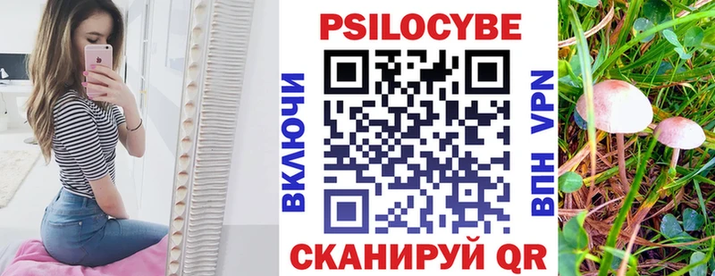 что такое наркотик  Беломорск  Галлюциногенные грибы Psilocybine cubensis 